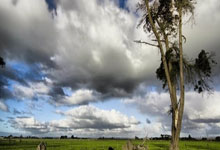 国家队在欧预赛中创造了佳绩，展现了实力