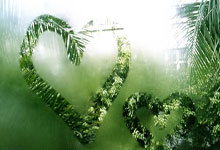 篮球职业联赛精彩对决吸引万千球迷